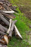 Stack firewood lots. photo