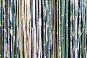 Bamboo Lined Retail. photo