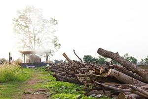 Firewood and charcoal clay oven. photo