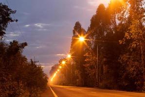 Light from many lamps and trees over rural roads. photo