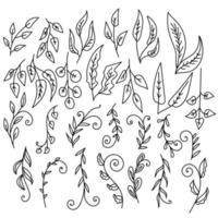 Doodle set of herbs and plants with ornate leaves, contour twigs and curled branches vector