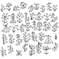 Set of doodle twigs with berries and fantasy leaves, natural motifs from thin lines vector