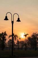 Palm trees and garden lamps in the early morning. photo