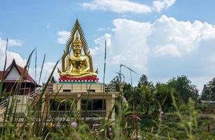 The view looks through the grass to the beautiful golden Buddha image enshrined on the roof pedestal. photo