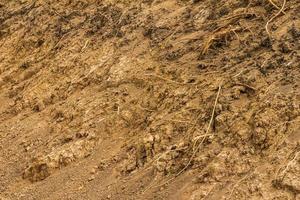 Dig the soil barren. photo
