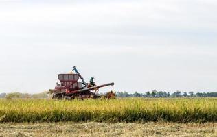 Low angle view Combine harvesters. photo