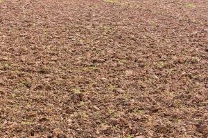 Surface soil tillage. photo