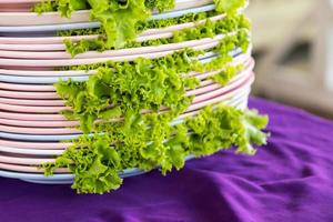 Lettuce on a plate overlap. photo