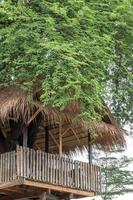 cabaña de madera con techo de vetiver cubierta de grandes árboles. foto