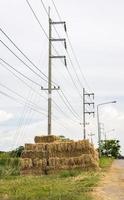 Many bales of straw were piled on the side of the road near the electric poles. photo