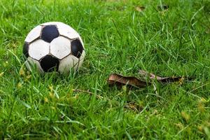 Football old grass dew. photo