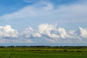 cielo nublado con campos de arroz. foto