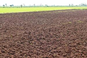 Soil tillage to pasture. photo