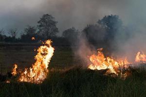 Flames on a grass mound. photo