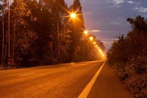 Light from many lamps and trees over rural roads. photo