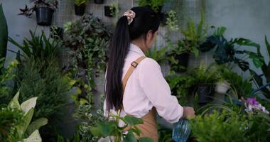 Portrait of a young asian female gardener standing and watering the plants. Woman turned her back to look at the camera and smile. Home greenery, hobby and lifestyle concept. video