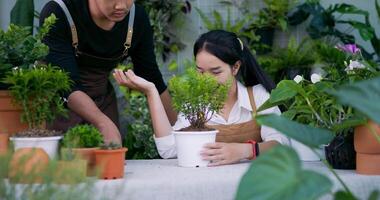 porträt eines glücklichen jungen asiatischen paargärtners, der einen löffel auf der pflanze im garten verwendet. hausgrün, hobby- und lifestyle-konzept. video