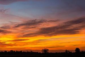 Yellow predawn sky orange. photo