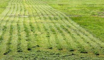 Background traces mower. photo