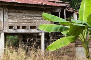 Old houses with banana leaves. photo