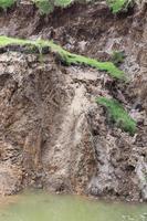 Landslide from coastal erosion. photo