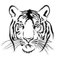 Tiger head black and white, Vector