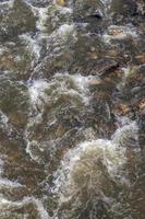 Water flows in streams with many granite rocks. photo