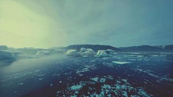 icebergs azuis da Antártida com cenário antártico congelado e coberto de neve video