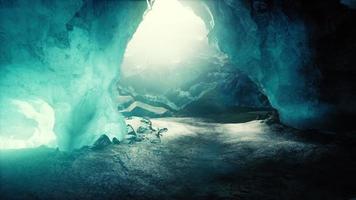 Entrance of an ice cave inside glacier in southern Iceland video