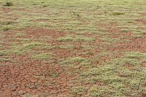 Background barren ground. photo