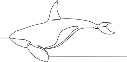 Continuous one line drawing Orca on white. international ocean day. Single line draw design vector graphic illustration.