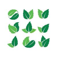 Set of Leaf logo design template vector