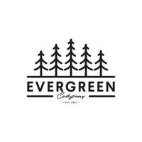 Vintage pine tree evergreen logo with lineart style design template vector