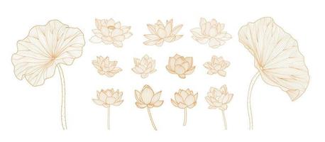 vector de ilustración de ornamento de arte de línea de flor de loto dibujado a mano