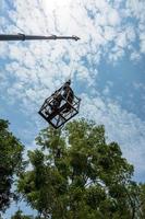 vista de ángulo bajo, un trabajador en una canasta de acero se eleva por encima de la copa del árbol durante el día. foto