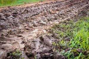 Big wheels traces on the muddy ground. photo