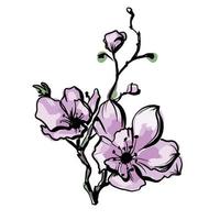 cherry blossom branch sketch vector