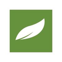 Green leaf logo vector