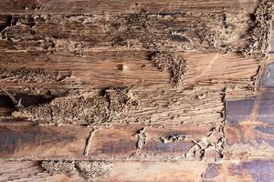 textura de pared de fondo viejas termitas de madera, que fue dañada. foto