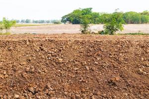 Lateritic soil was dug up as a barrier. photo