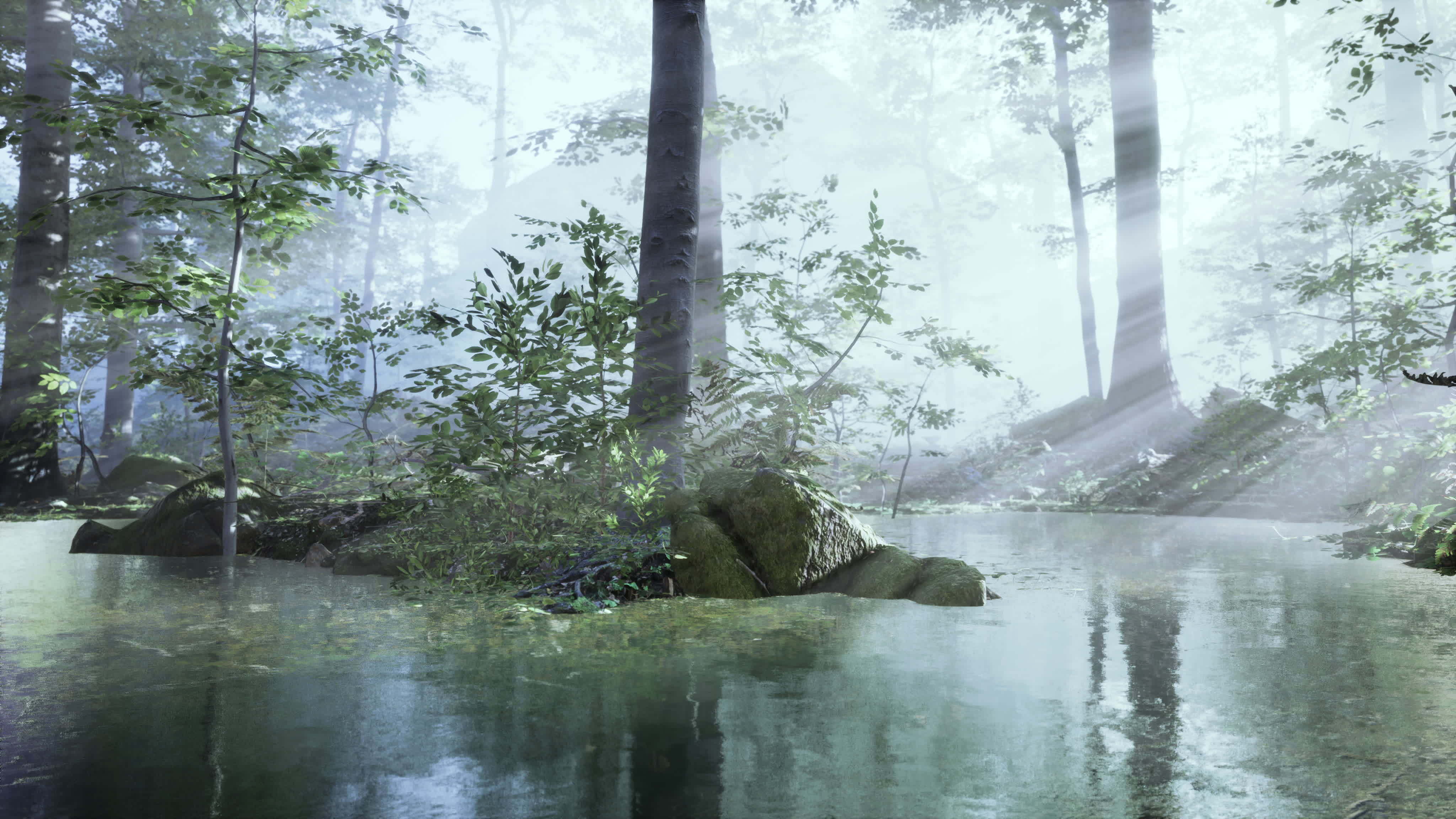 Panoramic of the forest with river reflecting the trees in the water  7560781 Stock Video at Vecteezy