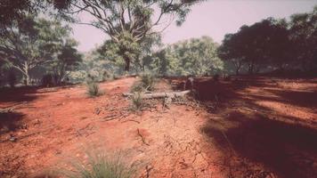 Kimberley region of Western Australia video