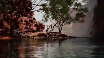 weerspiegeling van Grand Canyon in Colorado River video