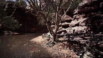 Colorado rivier stroomt door de Grand Canyon video