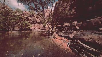 Colorado River flows through the Grand Canyon video