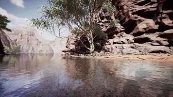 Reflection of Grand Canyon in Colorado River video