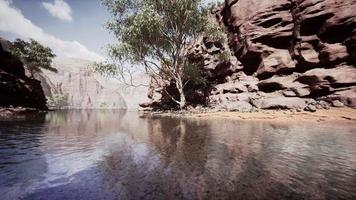 mountain river and colourful mountains of Colorado video