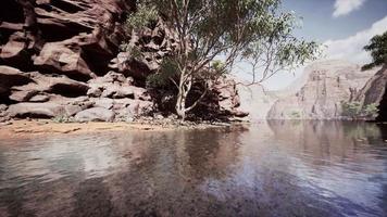 Rocks of Colorado river with trees video