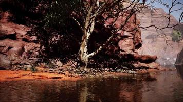 Rio Colorado flui através do Grand Canyon video