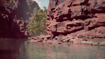 Colorado River flows through the Grand Canyon video